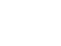 rapidscale
